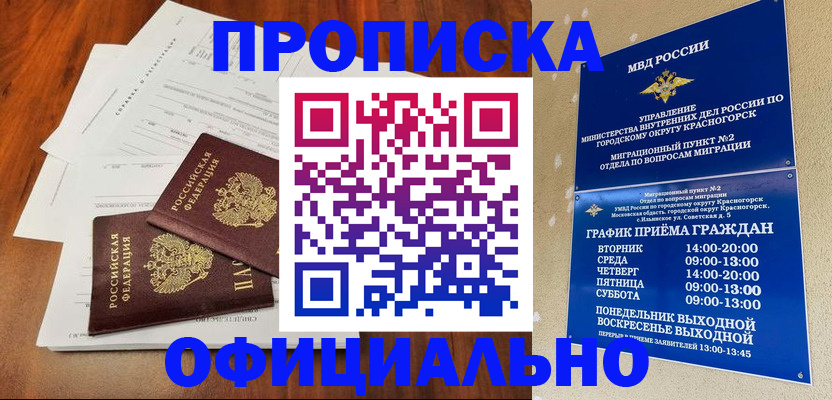 временная регистрация гарантия в Электростали